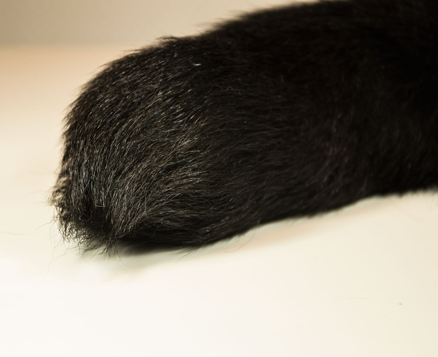 Black Fox Crystal Minx Butt Plug