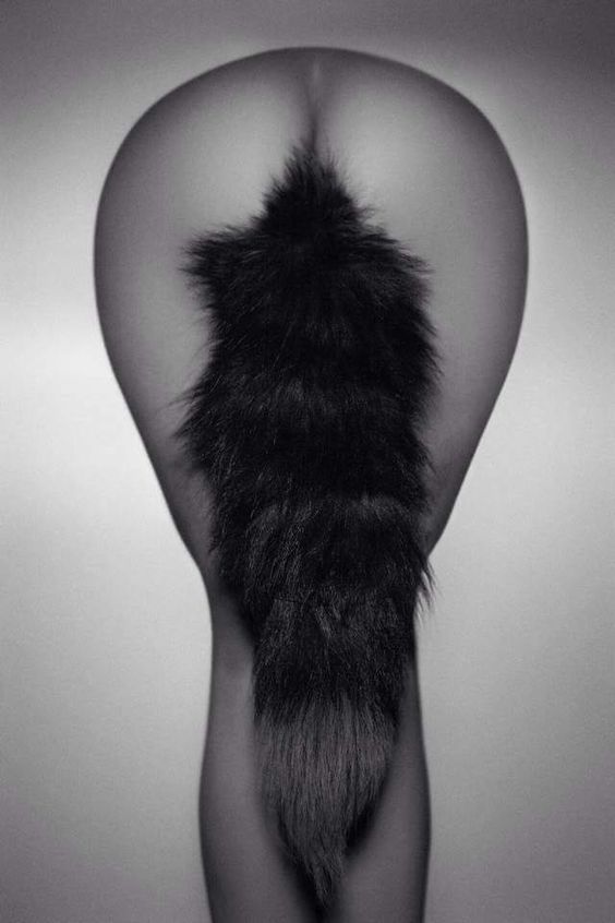 Black Fox Crystal Minx Butt Plug