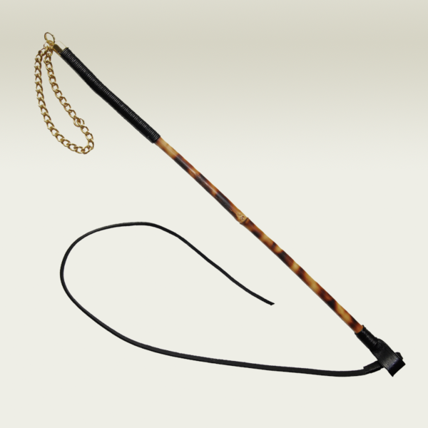 Serpent Lunge Whip
